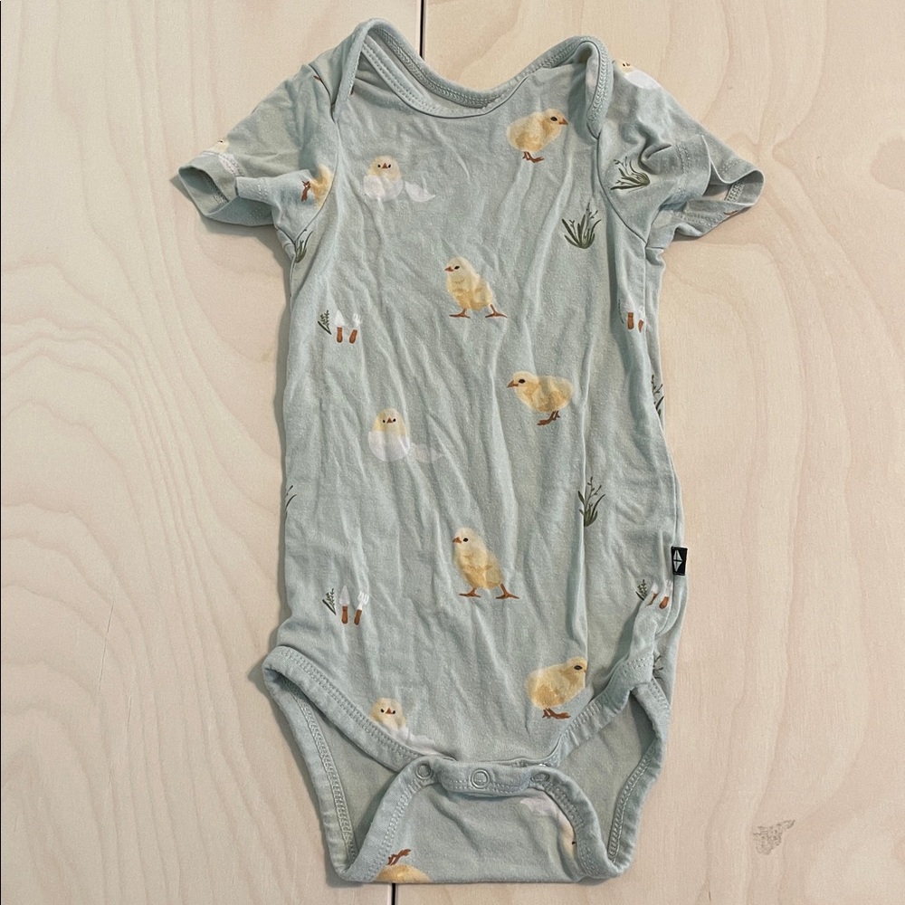 Kyte Baby Onesie with Chick Print